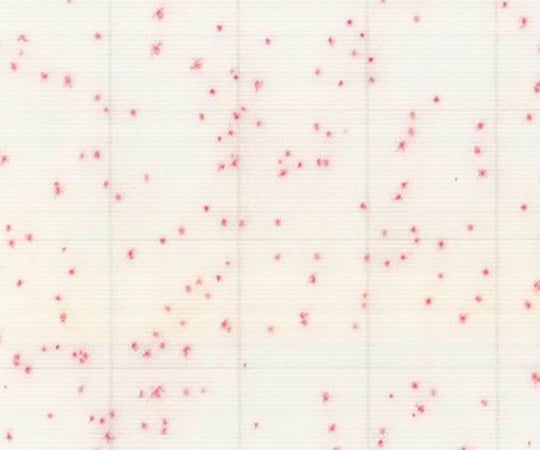 MC-Media Pad ACplus(R-AC) 일반 생균용 신속/일반 생균용 겸용 (100장) SK01B25 1상자(25장×4봉입)