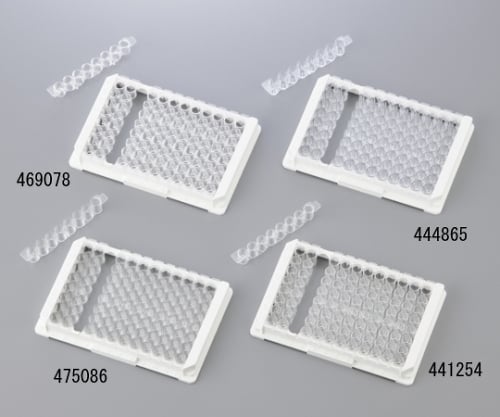 면역 모듈 1상자(60개입) 468667 1상자(60개입)