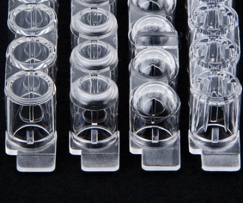 면역 모듈 1상자(60개입) 468667 1상자(60개입)