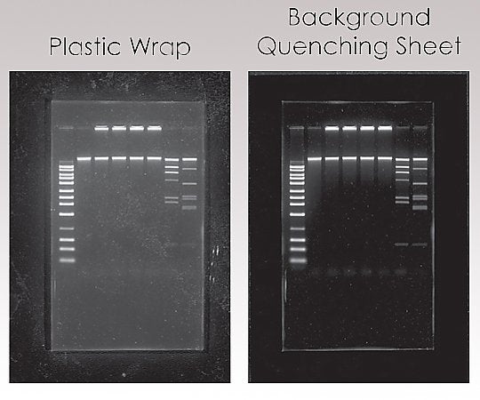소광 시트 1세트(10장입) L-07001-010 1세트(10장입)