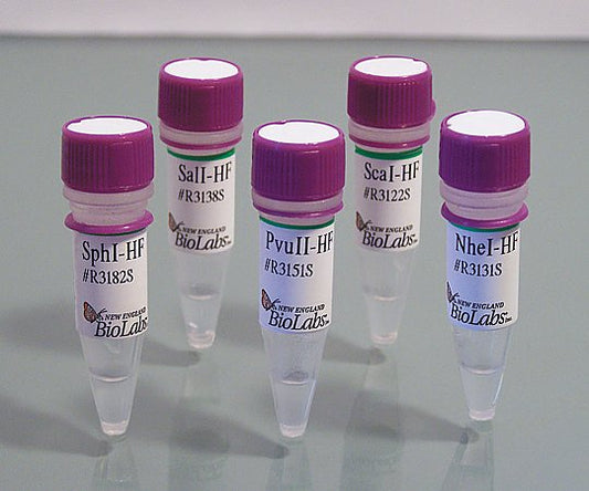 EagI-HF (100,000 units/ml)　R3505M 1セット