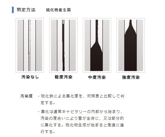［受注停止］バイオチェッカー（硫化物産生菌測定用）1箱（9本入）　S 1箱(9本入)