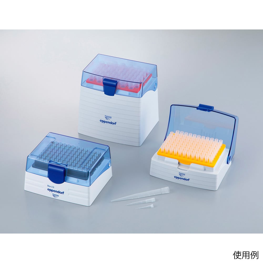 Pipette Tips (epTIPS) Box 0.5-20μL 96 pieces 0030 076.141 1 box (96 pieces)