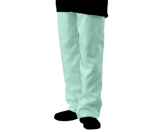 AP Clean Pants Green 4L SSPG 1 piece