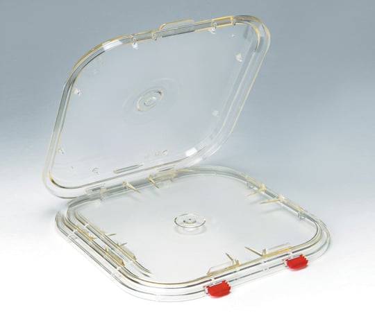 Single wafer case SC SC-300 1 piece