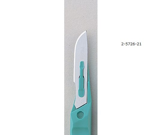 Disposable scalpel, pack of 20, No. 10, 1 box (pack of 20)