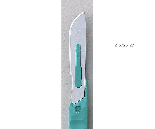 ディスポメス　20本入　NO.21 1箱(20本入)