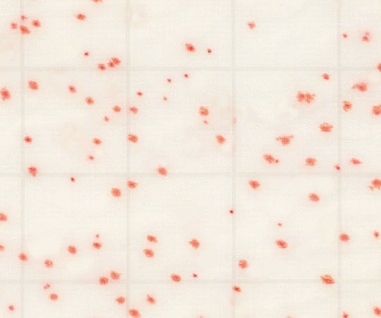 MC-Media Pad 一般生菌用 (1000枚)　SK99A25 1ケース(100枚×10箱入)