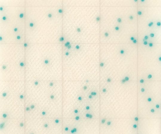 MC-Media Pad CC for coliform bacteria (100 sheets) SK02B25 1 box (25 sheets x 4 bags)