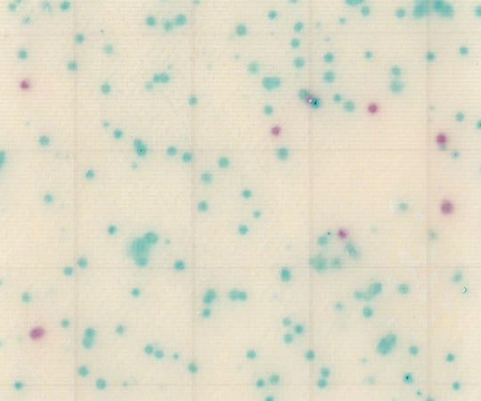 MC-Media Pad EC for E. coli and coliform bacteria (100 sheets) SK04B25 1 box (25 sheets x 4 bags)