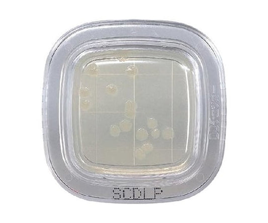 ぺたんチェック®DD SCDLP寒天培地 1箱（20枚入）　PD0024 1箱(20枚入)