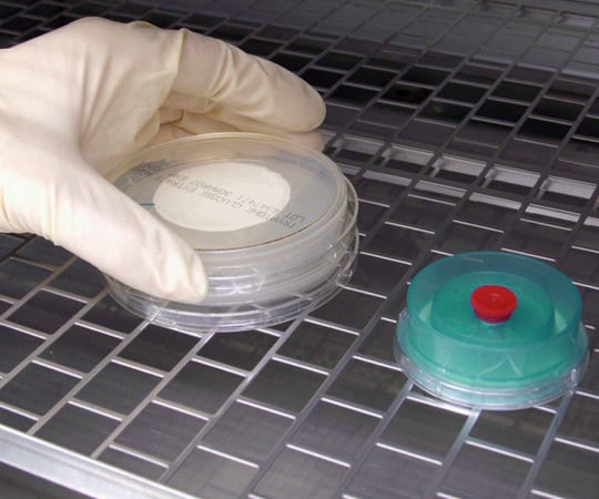 비버리지 모니터(마이크로 체크Ⅱ) 백색·흑 격자 0.45μm 50개입 4761 1상자(50개입)