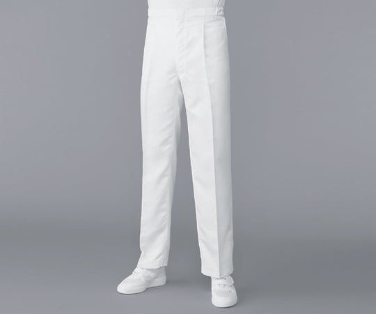 Dust-free clothing AS304A (men's pants) White LL AS304A LL 1 unit