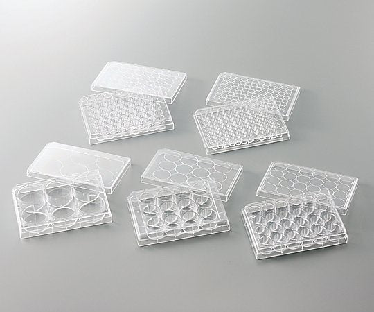 비오라모 세포 배양 플레이트 1상자(50개입) VTC-P24 1상자(50개입)