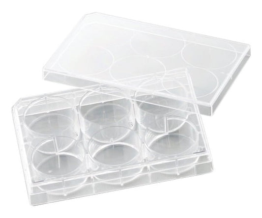 비오라모 세포 배양 플레이트 1상자(50개입) VTC-P6 1상자(50개입)