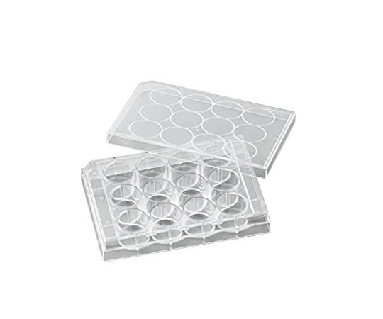 비오라모 세포 배양 플레이트 1상자(50개입) VTC-P12 1상자(50개입)