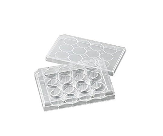 비오라모 세포 배양 플레이트 1상자(50개입) VTC-P12 1상자(50개입)