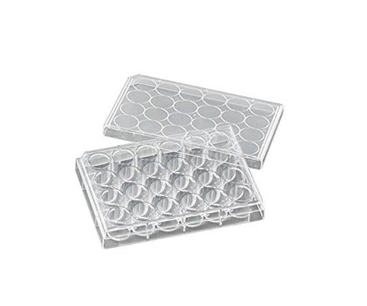 비오라모 세포 배양 플레이트 1상자(50개입) VTC-P24 1상자(50개입)