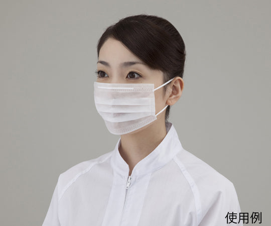 サニエコマスク　100枚入　2ply平面耳掛け 1箱(100枚入)