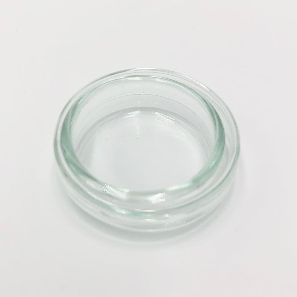 スタンダードシャーレ　φ40×12mm　14946 1個