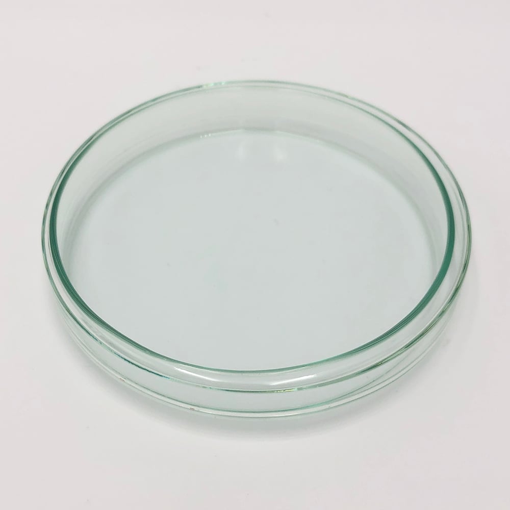 Standard petri dish φ120×20mm 120/20 1 piece