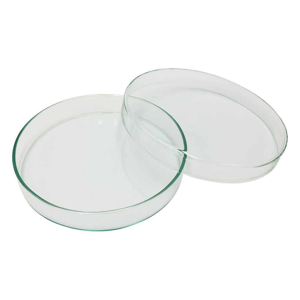 Standard petri dish φ120×20mm 120/20 1 piece