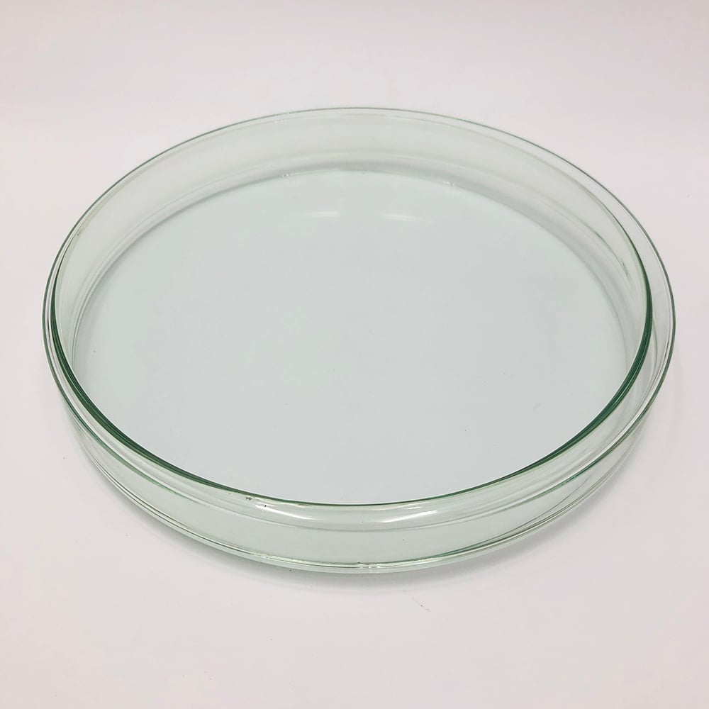 スタンダードシャーレ　φ200×30mm　200/30 1個