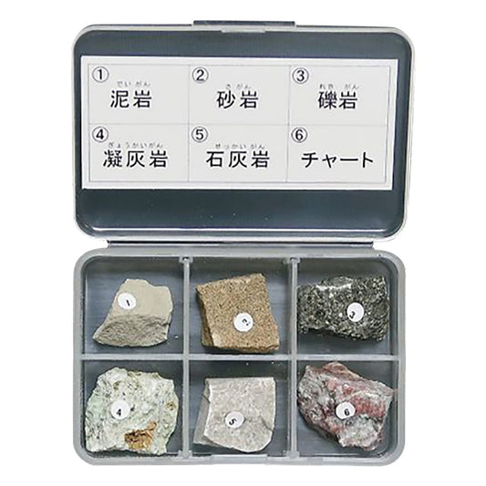 岩石標本（岩石標本堆積岩6種） 1セット