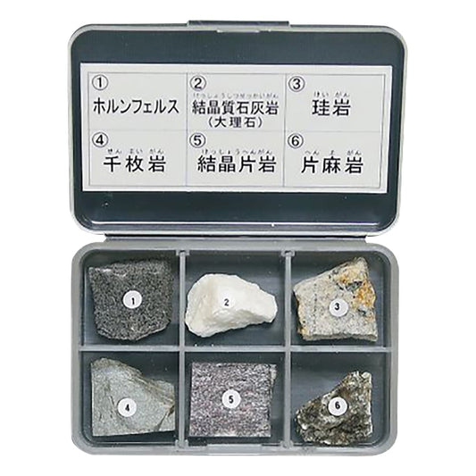 岩石標本（岩石標本変成岩6種） 1セット