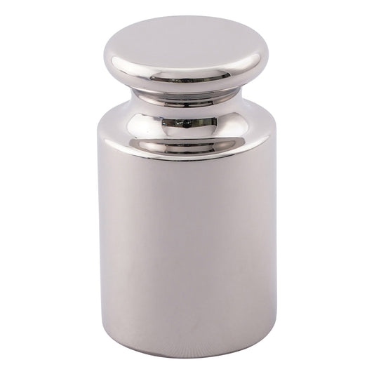 分銅　E-2級　100g 1個