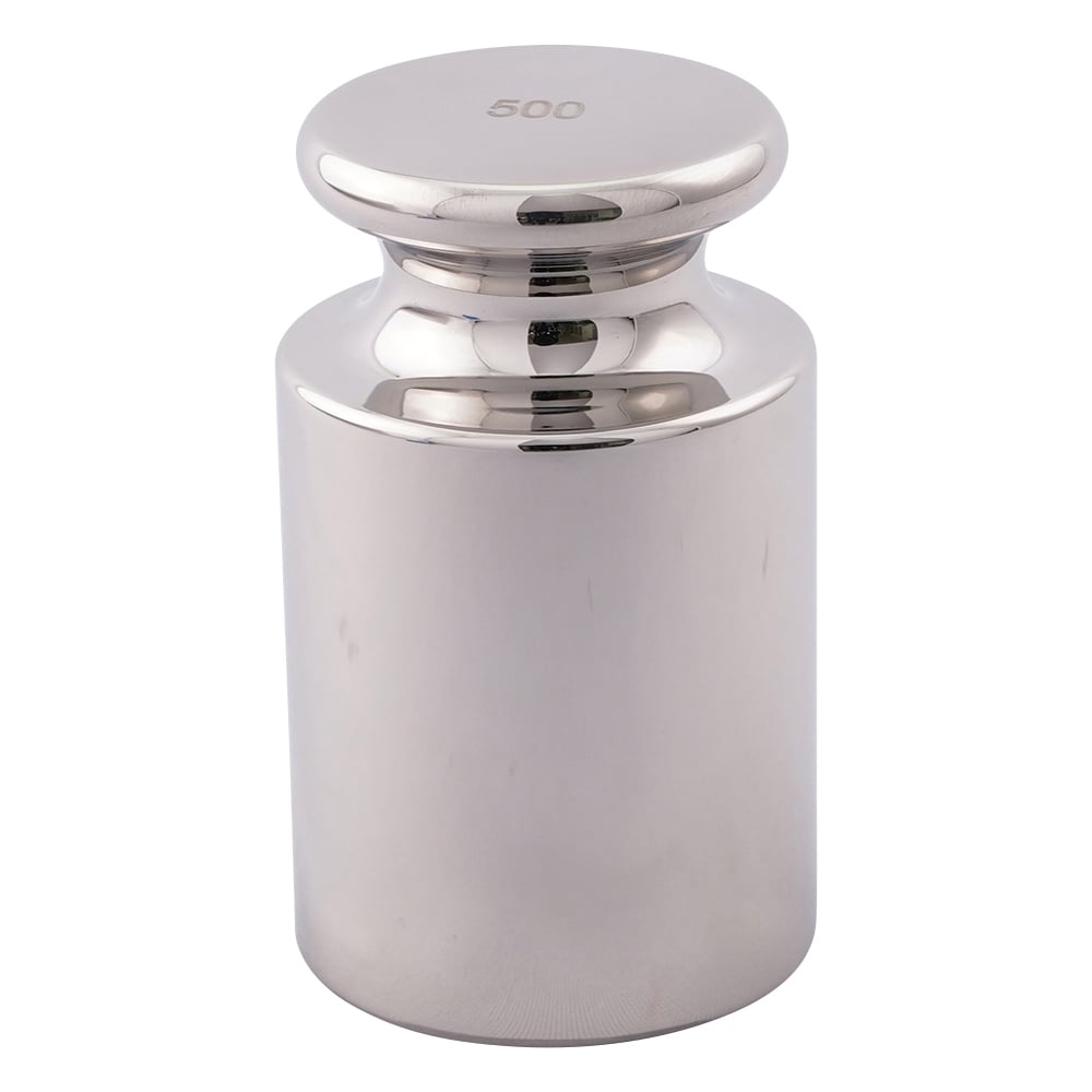 분동 F-1급 500g 1개