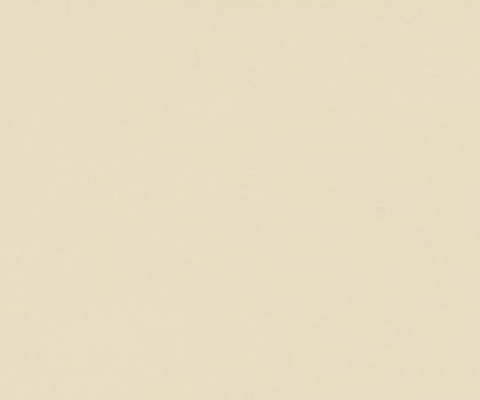 수성 다목적 페인트 수성 광택 우레탄 건물용 아이보리 1.6 1캔