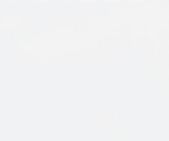 수성 다목적 도료 수성 윤기 우레탄 건물용 흰색 1.6 1캔