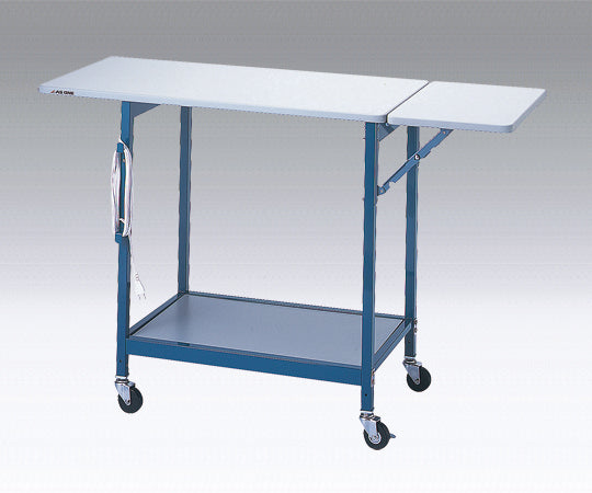 New Lab Bench with auxiliary top BW 1 unit