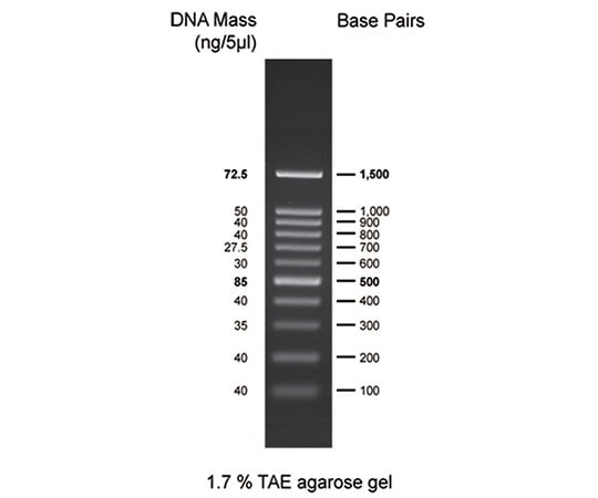DNA electrophoresis marker 100bp DM001-R500 1pc