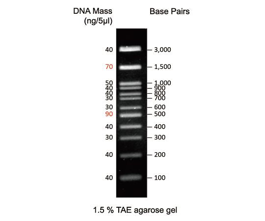 DNA electrophoresis marker 100bp H3 DM003-R500 1pc
