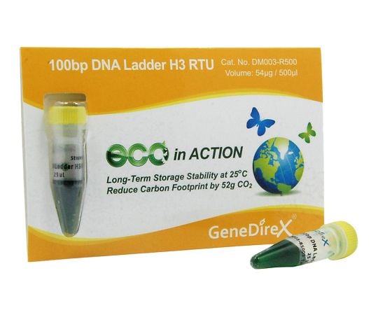 DNA electrophoresis marker 100bp H3 DM003-R500 1pc