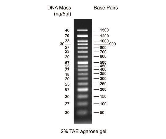 DNA electrophoresis marker 50bp DM017-R500 1pc