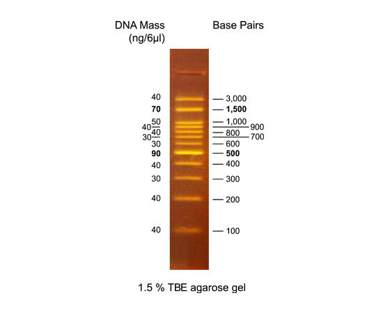 DNA electrophoresis marker OneMARK 100 DMF12-0100 1 piece