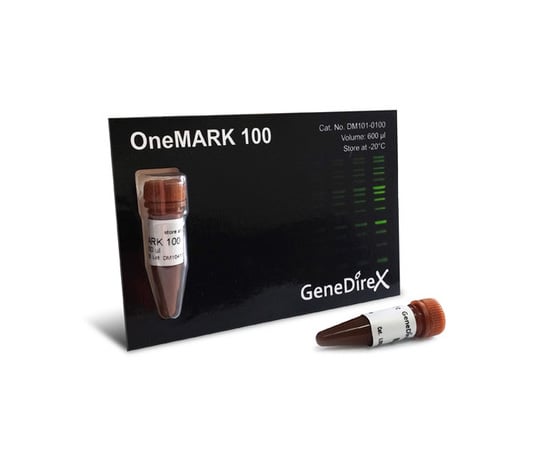 DNA electrophoresis marker OneMARK 100 DMF12-0100 1 piece