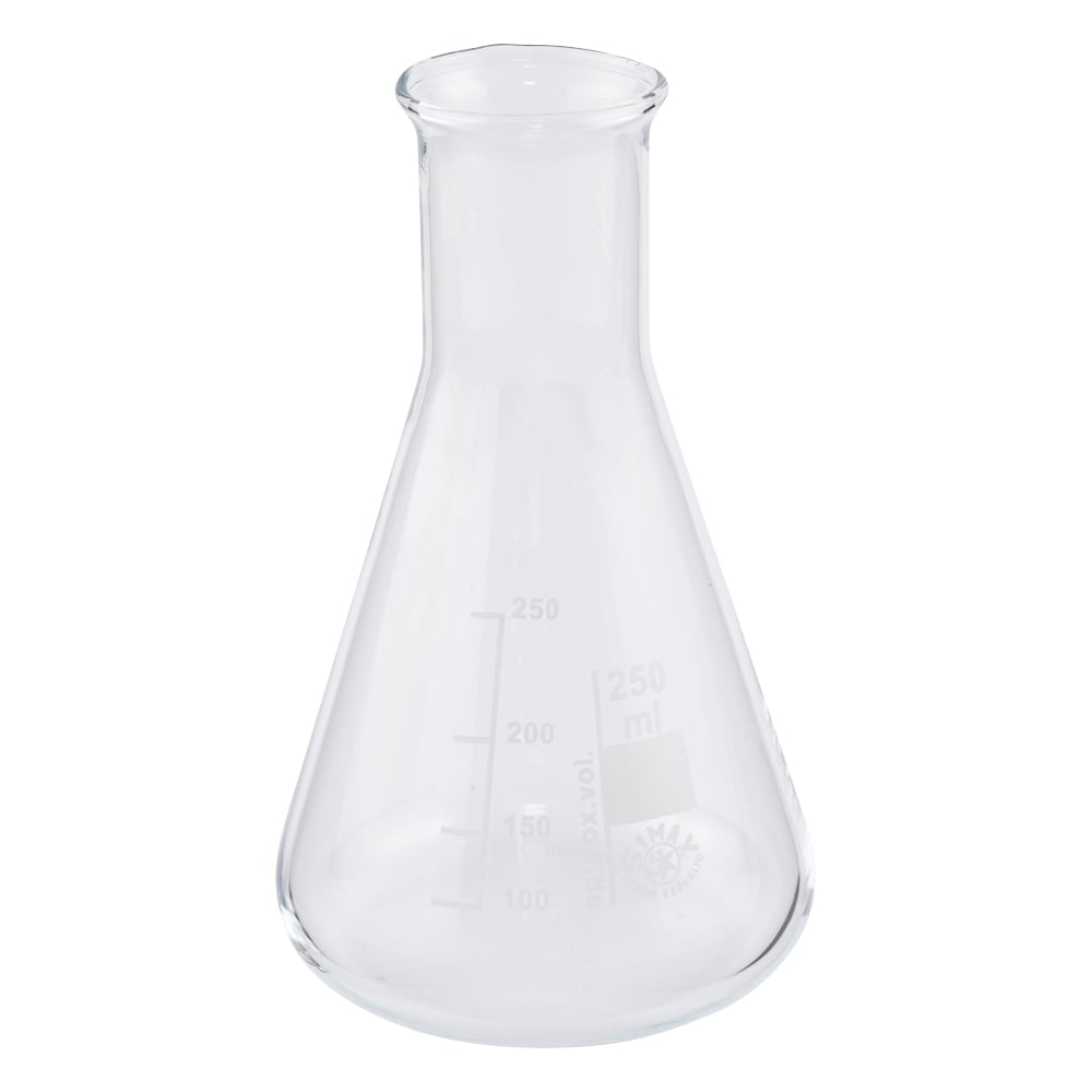 三角フラスコ　250mL　24/250 1個
