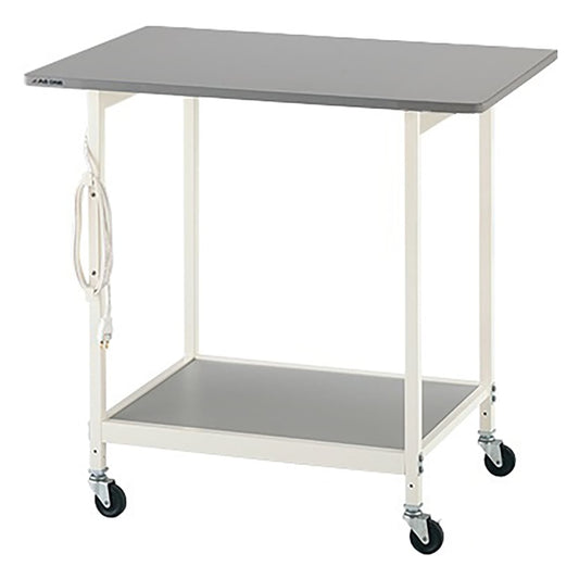 New Lab Bench (White Color) Standard BW 1 pc