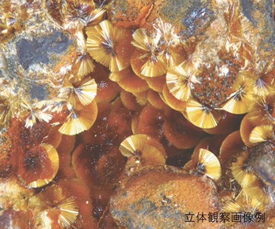 LED Zoom Stereo Microscope Binocular 7.5-50x SZM223B 1pc