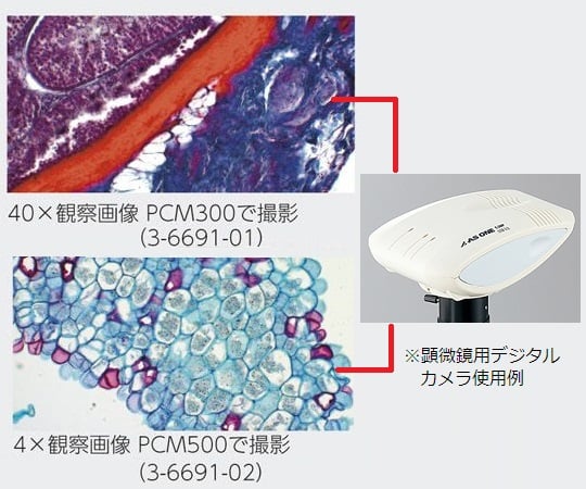 ECプランレンズ生物顕微鏡　三眼　40～1000×　MP38T 1個