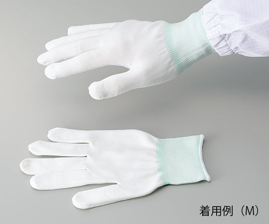 アズピュアクリーンワークグローブ 1袋（10双入）　L 1袋(10双入)