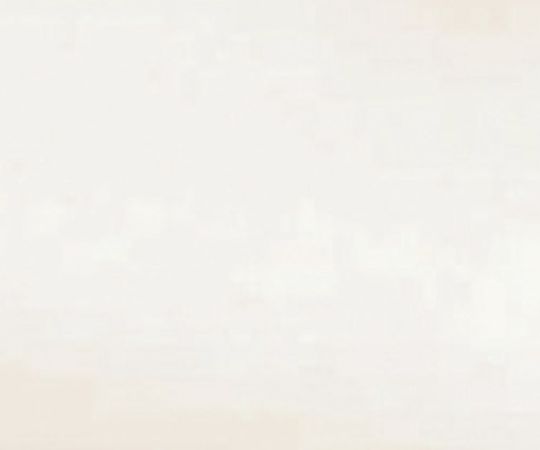 ミーティングチェア　ホワイト　SFIDA WH 1個