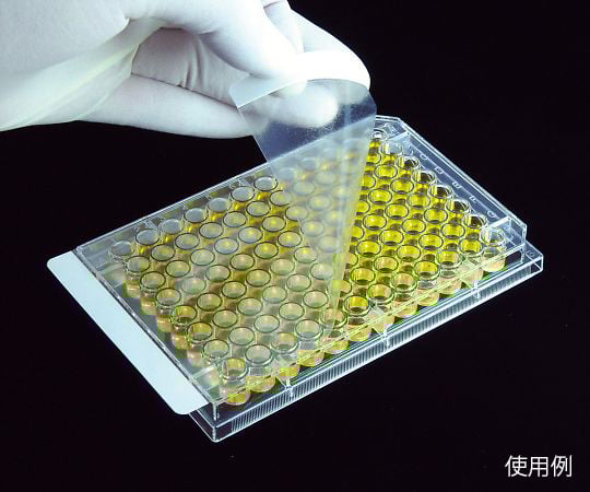 ELISA用シールプレートフィルム　SealPlate　100枚入　100-SEAL-PLT 1箱(100枚入)