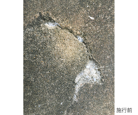 コンクリート補修材　セメリッド-cw　1㎏ 1袋