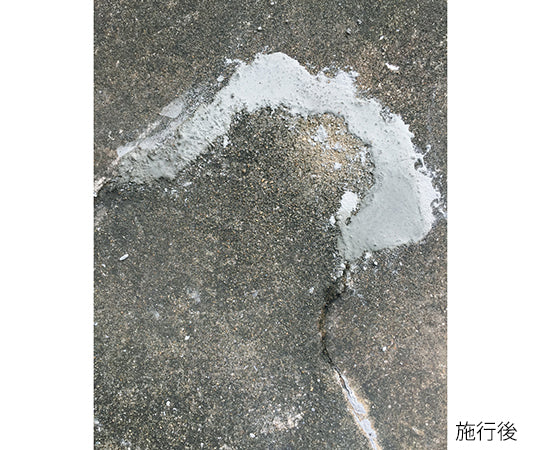 コンクリート補修材　セメリッド-cw　1㎏ 1袋