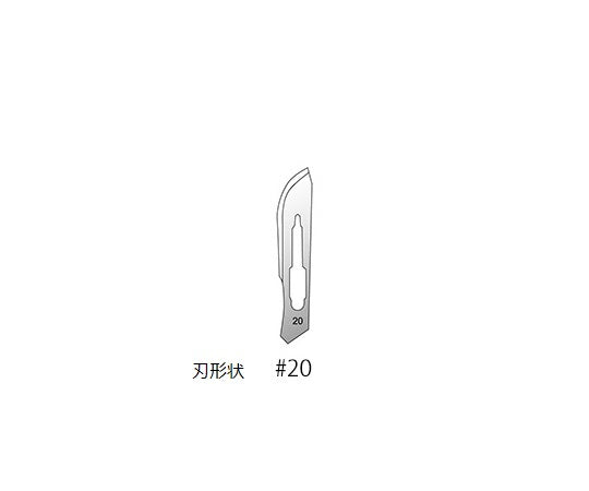 ［受注停止］ディスポメス　10本入　#20 1パック(10本入)